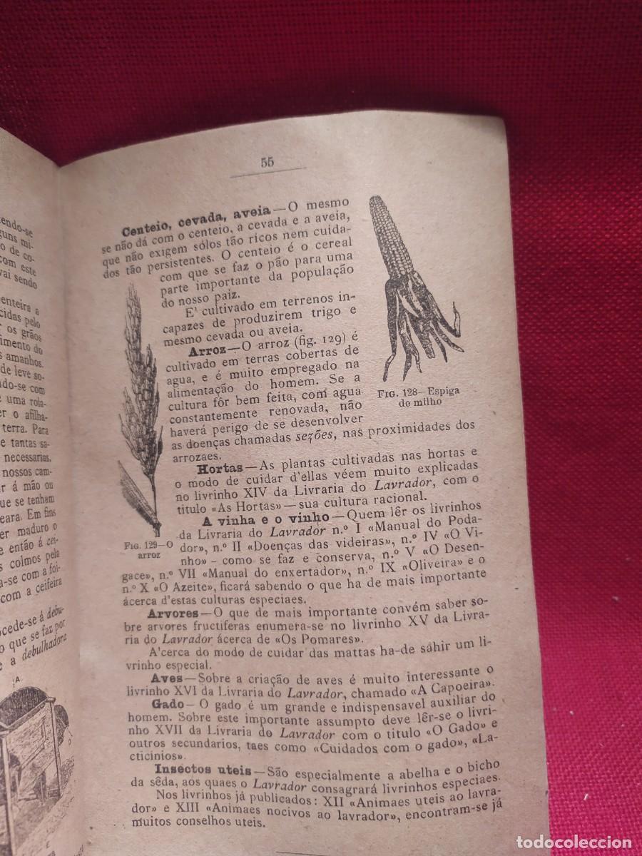 Libros antiguos: 1916. Botanica e agricultura pratica. - Foto 19
