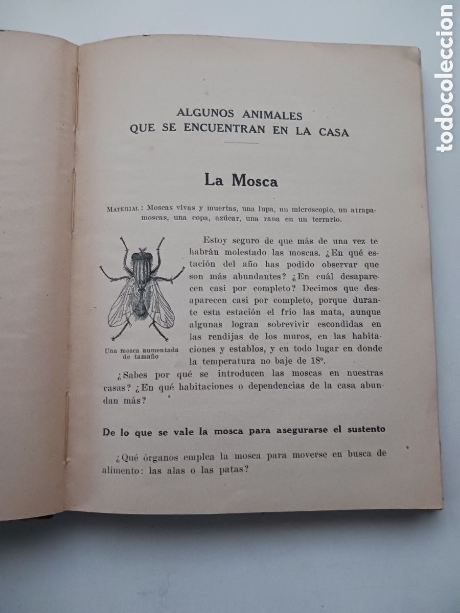Libros antiguos: Estudio experimental de algunos animales 1930 - Foto 4