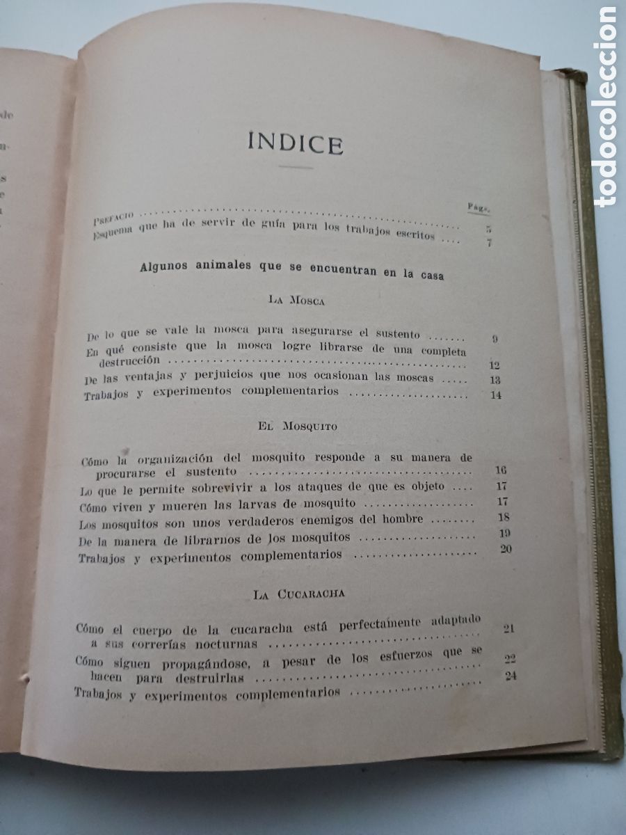 Libros antiguos: Estudio experimental de algunos animales 1930 - Foto 7