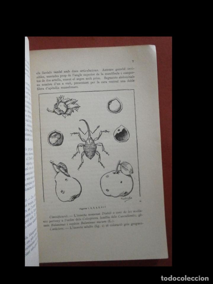 Libros antiguos: El diabl&oacute; de lavellaner. Jaume Nonell i Comas - Foto 2