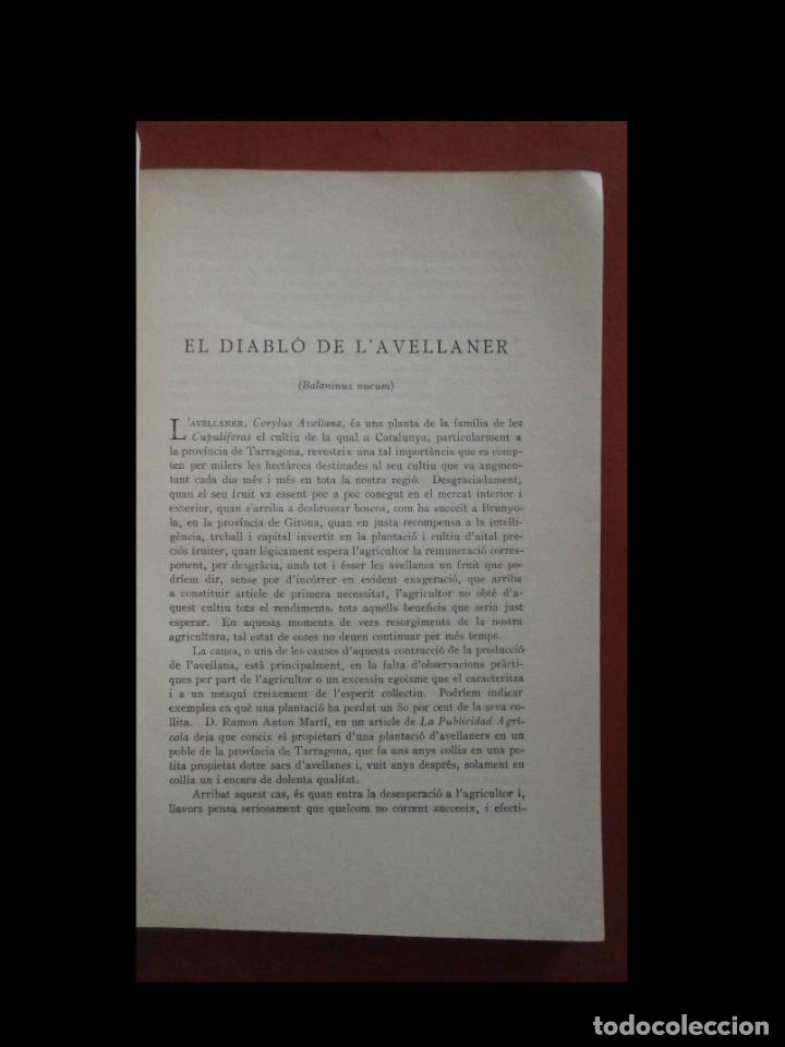 Libros antiguos: El diabl&oacute; de lavellaner. Jaume Nonell i Comas - Foto 3
