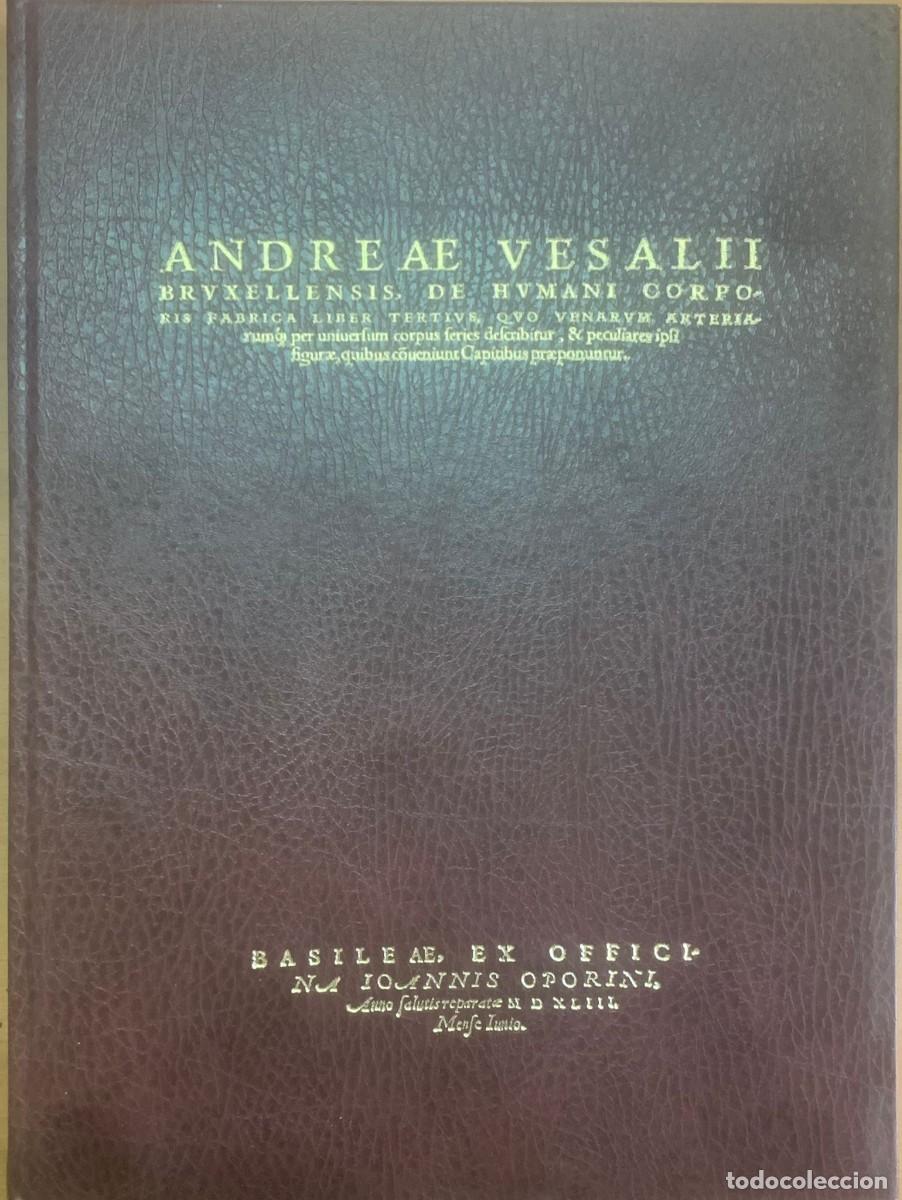 Libros antiguos: Brvxellensis, De Hvmani Corpo, de Andreae Vesalli. - Foto 1