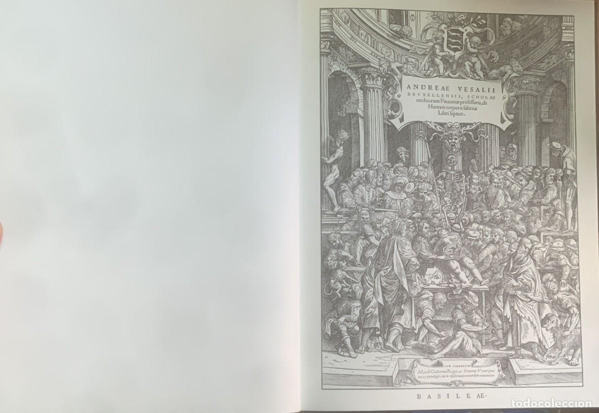Libros antiguos: Brvxellensis, De Hvmani Corpo, de Andreae Vesalli. - Foto 3