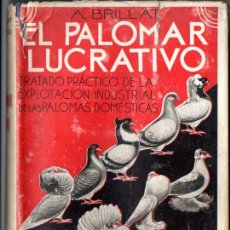 Libros antiguos: A. BRILLAT : EL PALOMAR LUCRATIVO (MONTESÓ, 1935) PRIMERA EDICIÓN