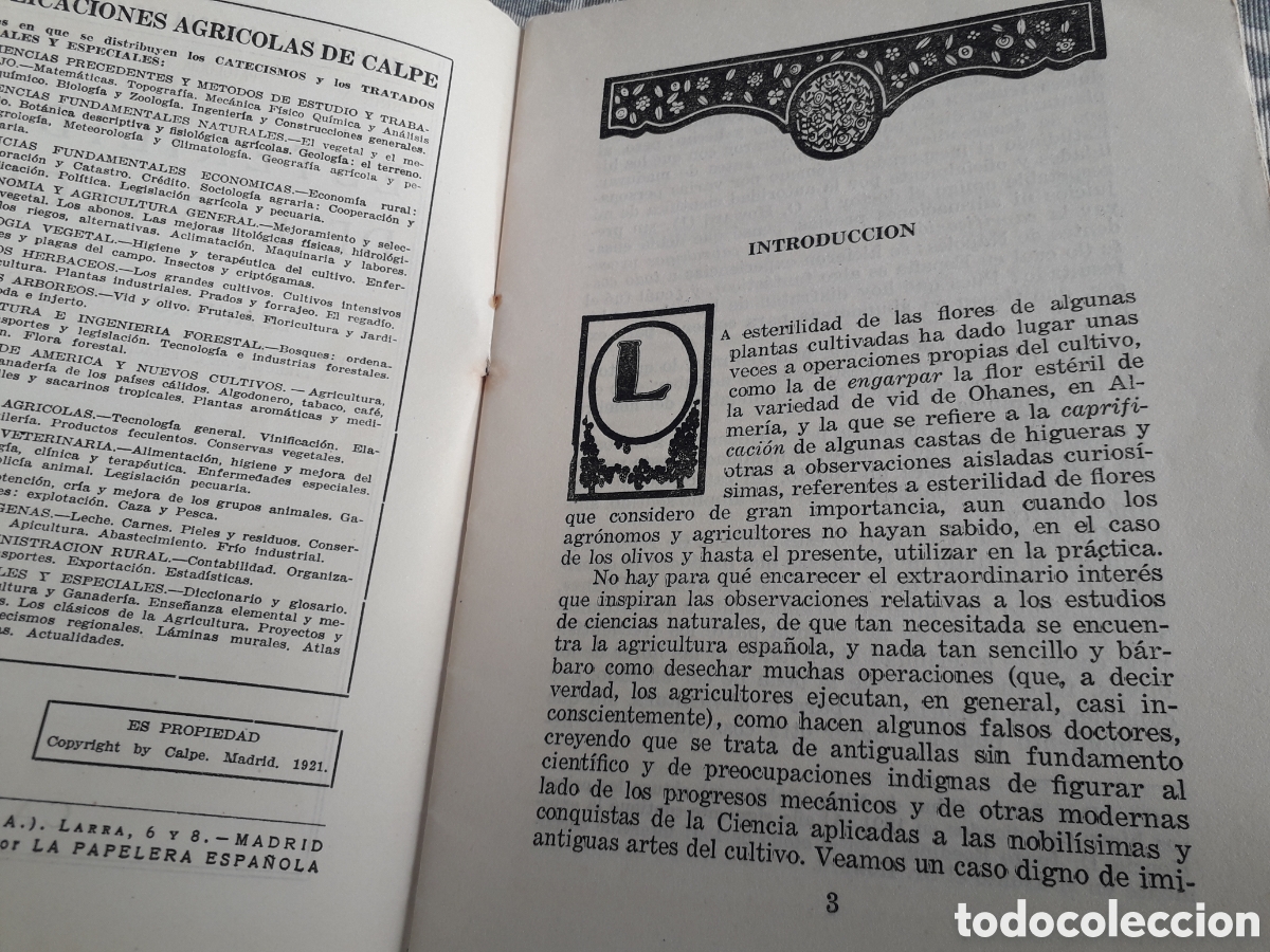Libros antiguos: ESTERILIDAD DE LAS FLORES, LEANDRO NAVARRO, - Foto 3