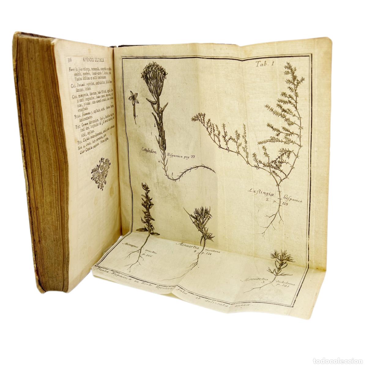 Libros antiguos: PEHR L&Ouml;FLING - ITER HISPANICUM (1&ordf; EDICI&Oacute;N) - 1758 - Foto 5