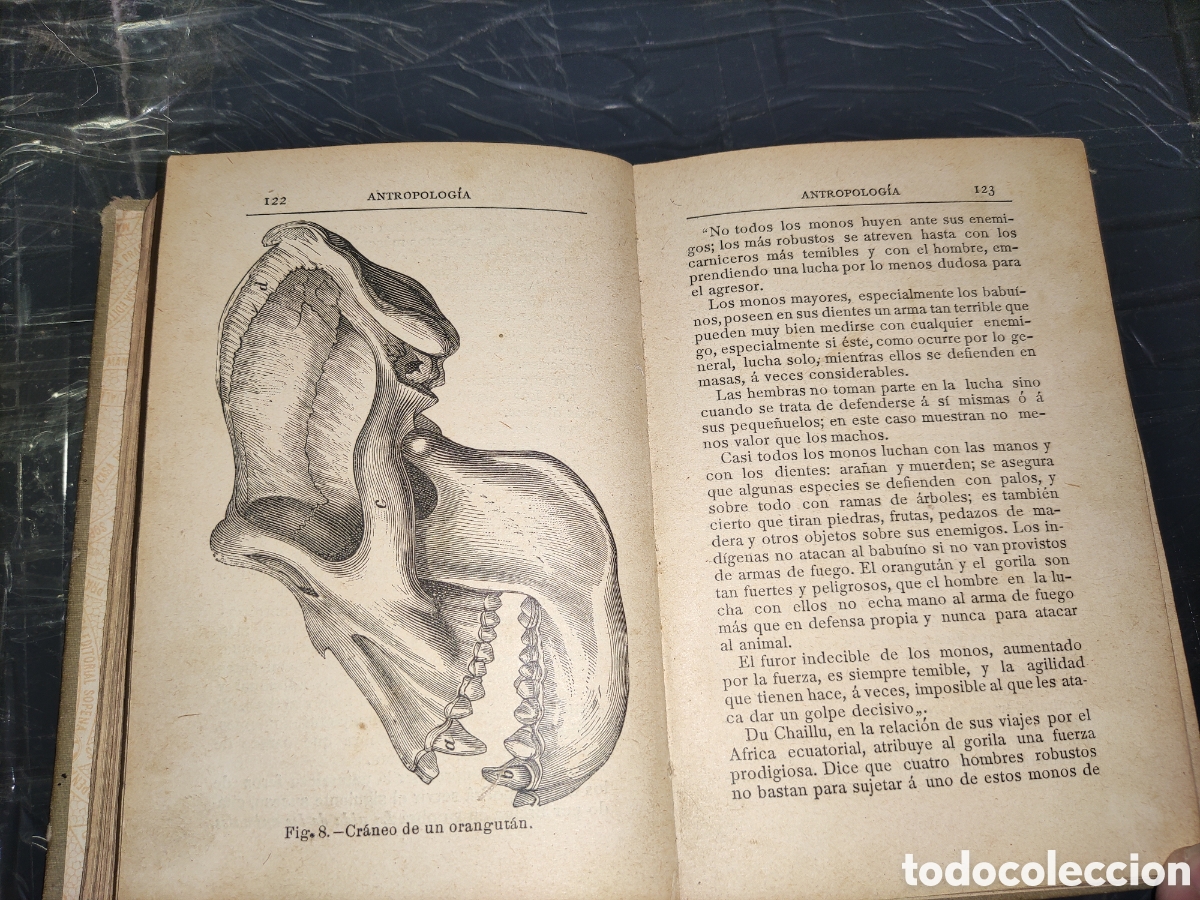 Libros antiguos: Manuales Pr&aacute;cticos IV... Antropolog&iacute;a. - Foto 8