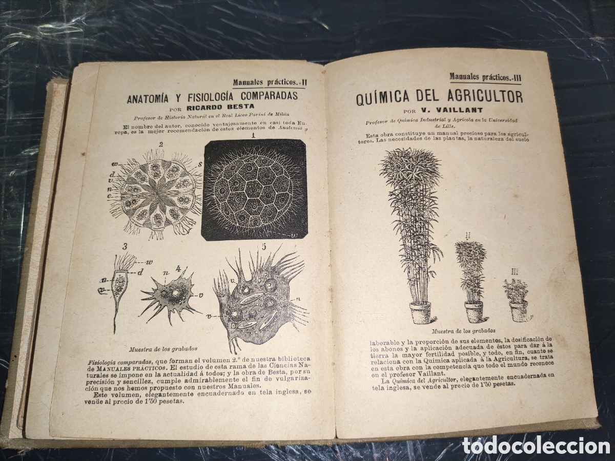 Libros antiguos: Manuales Pr&aacute;cticos IV... Antropolog&iacute;a. - Foto 12