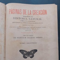 Libros antiguos: PAGINAS DE LA CREACIÓN-HISTORIA NATURAL- LUCIANO GARCIA DEL REAL-1888-2 TOMOS