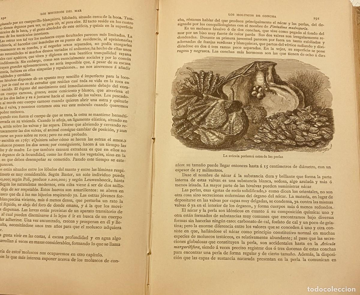 Libros antiguos: Misterios del mar de Manuel Aranda y Sanjuan - Foto 2