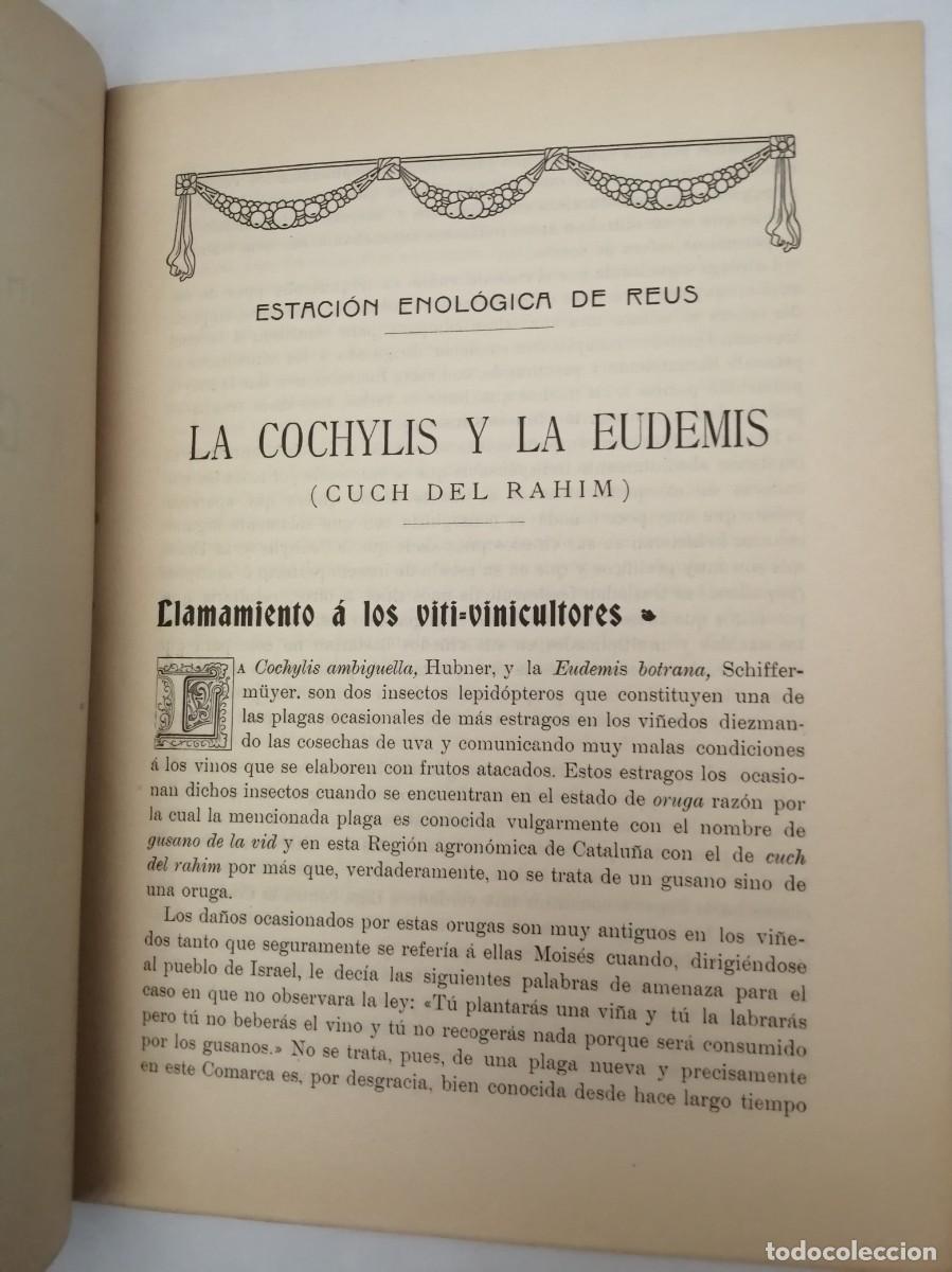Libros antiguos: Instrucciones pr&aacute;cticas para reconocer y combatir las cochylis y la eudemis: cuch del rahim (1907) - Foto 3