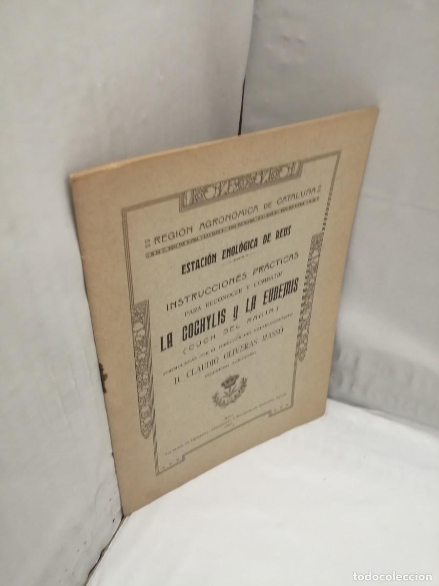 Libros antiguos: Instrucciones pr&aacute;cticas para reconocer y combatir las cochylis y la eudemis: cuch del rahim (1907) - Foto 4