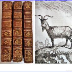 Libros antiguos: AÑO 1770: HISTORIA NATURAL. BUFFON. 3 TOMOS DEL SIGLO XVIII. ILUSTRACIONES.