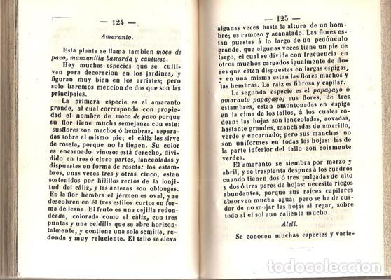 Libros antiguos: MANUAL DEL JARDINERO - A&Ntilde;O 1848 - Foto 4
