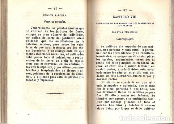 Libros antiguos: MANUAL DEL JARDINERO - A&Ntilde;O 1848 - Foto 5