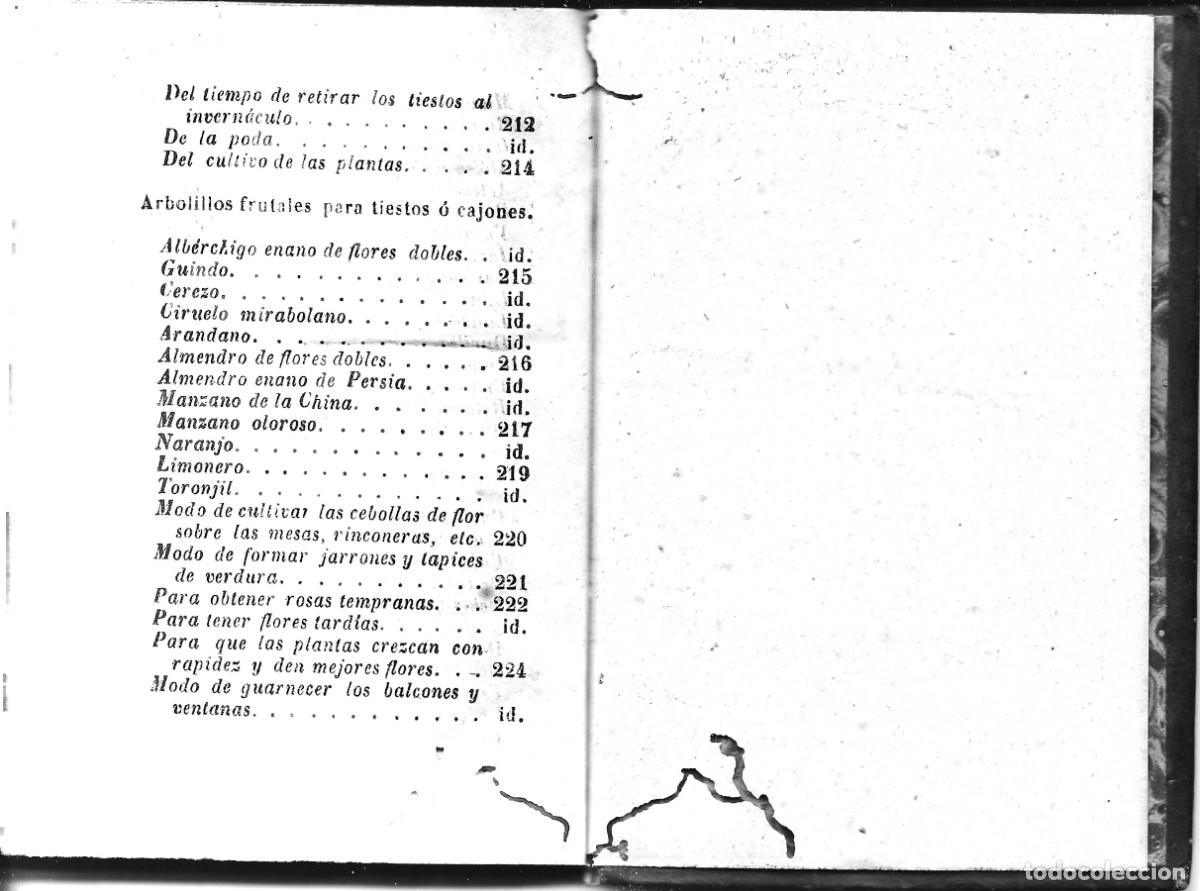 Libros antiguos: MANUAL DEL JARDINERO - A&Ntilde;O 1848 - Foto 7