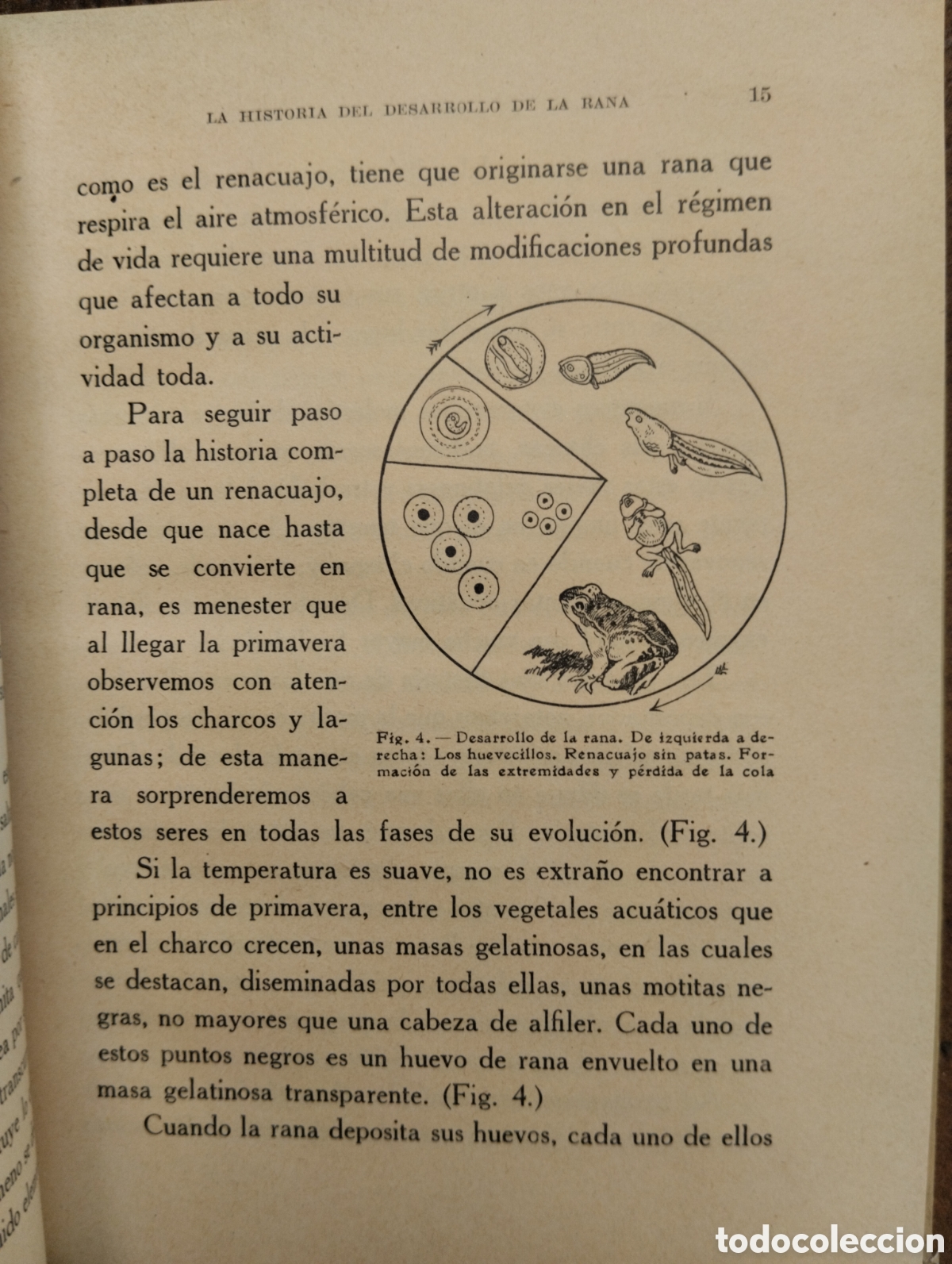 Libros antiguos: El Libro de la Vida, Enrique Rioja - Foto 5