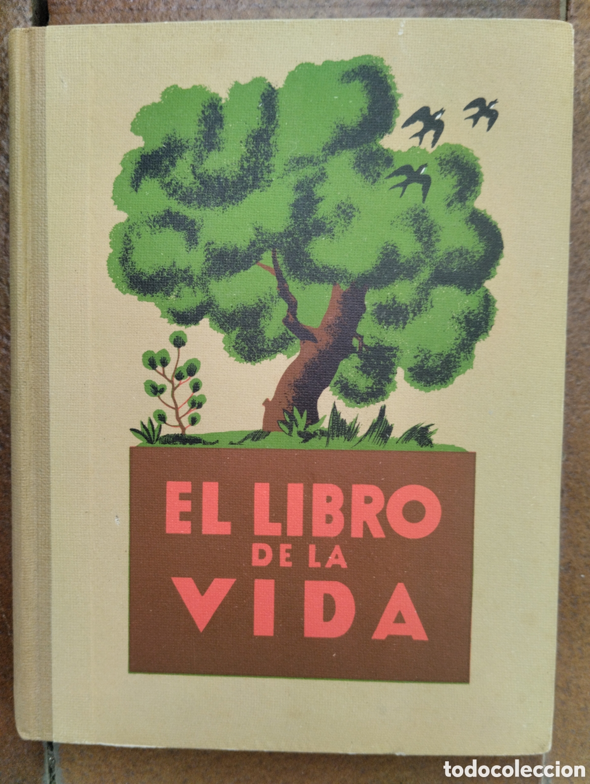 Libros antiguos: El Libro de la Vida, Enrique Rioja - Foto 1