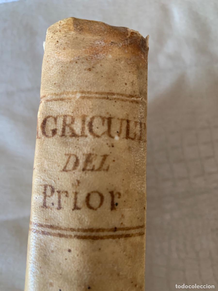 Libri antichi: Libro de secretos de Agricultura casa de campo y pastoril (Libro del prior)