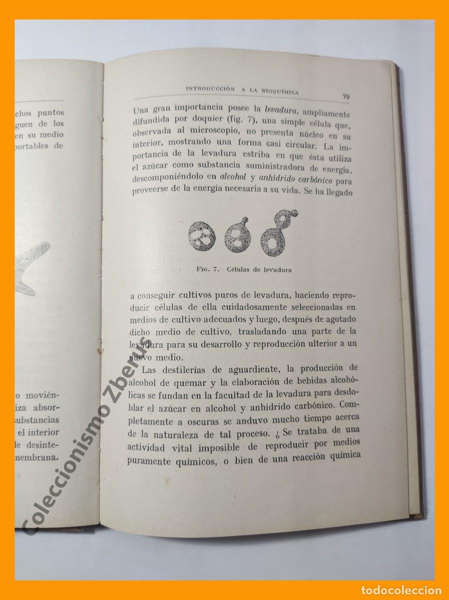 Libros antiguos: Introduccion a la Bioquimica - Walther Lob - Foto 3