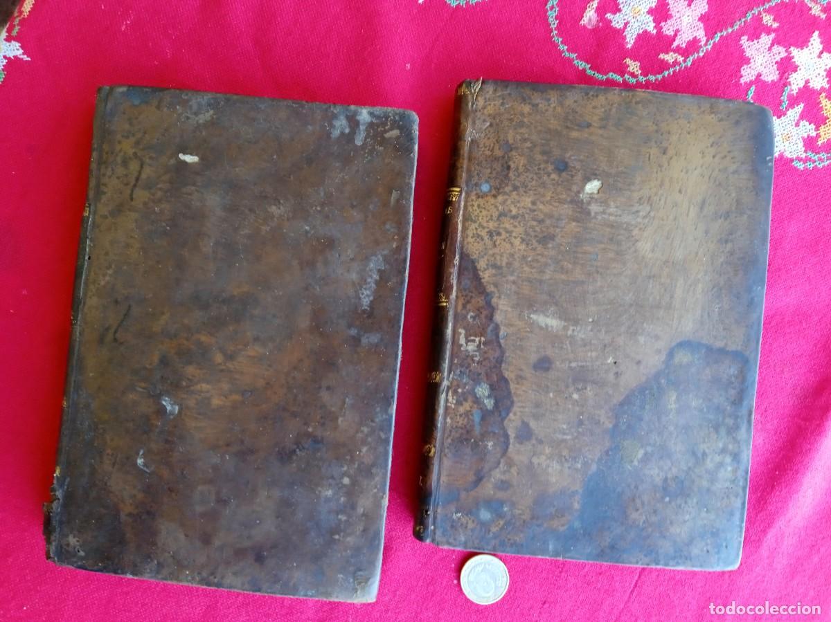 Libros antiguos: Cavanilles de bot&aacute;nica 1801 2 tomos - Foto 2