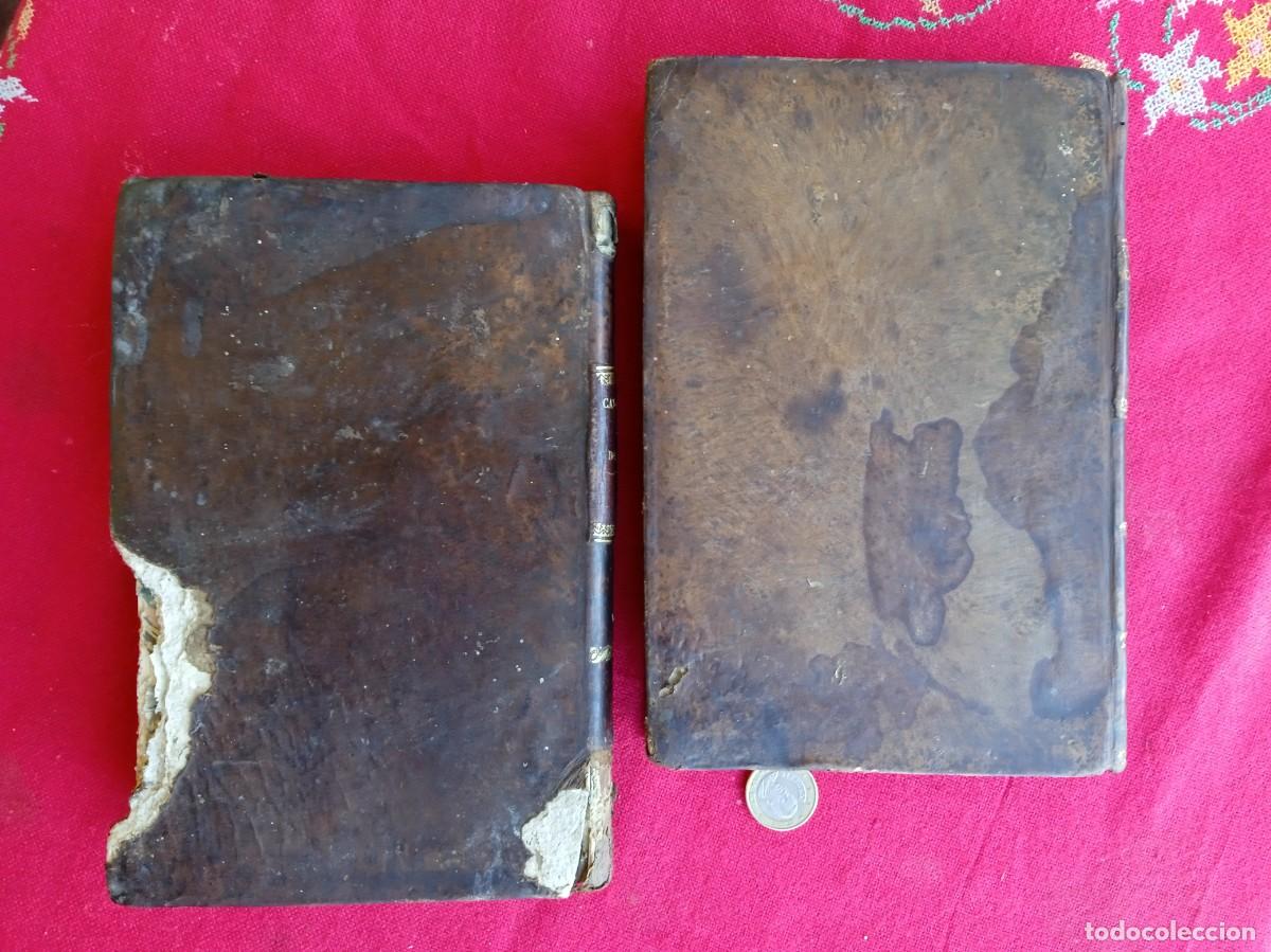 Libros antiguos: Cavanilles de bot&aacute;nica 1801 2 tomos - Foto 3