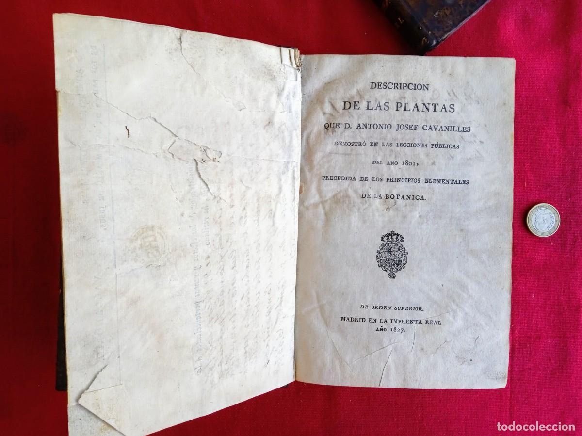 Libros antiguos: Cavanilles de bot&aacute;nica 1801 2 tomos - Foto 4