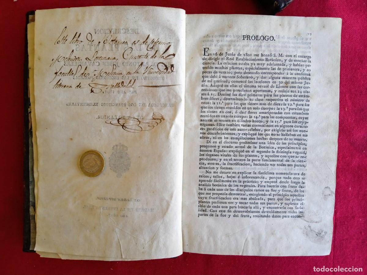 Libros antiguos: Cavanilles de bot&aacute;nica 1801 2 tomos - Foto 5