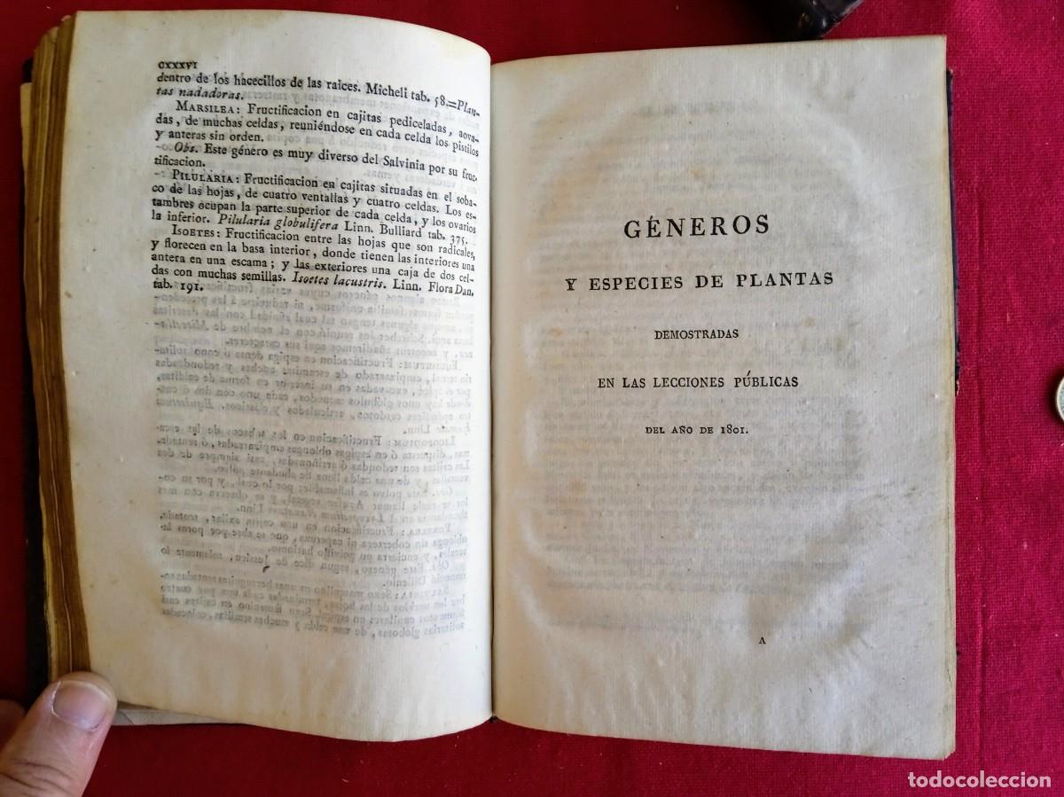 Libros antiguos: Cavanilles de bot&aacute;nica 1801 2 tomos - Foto 6
