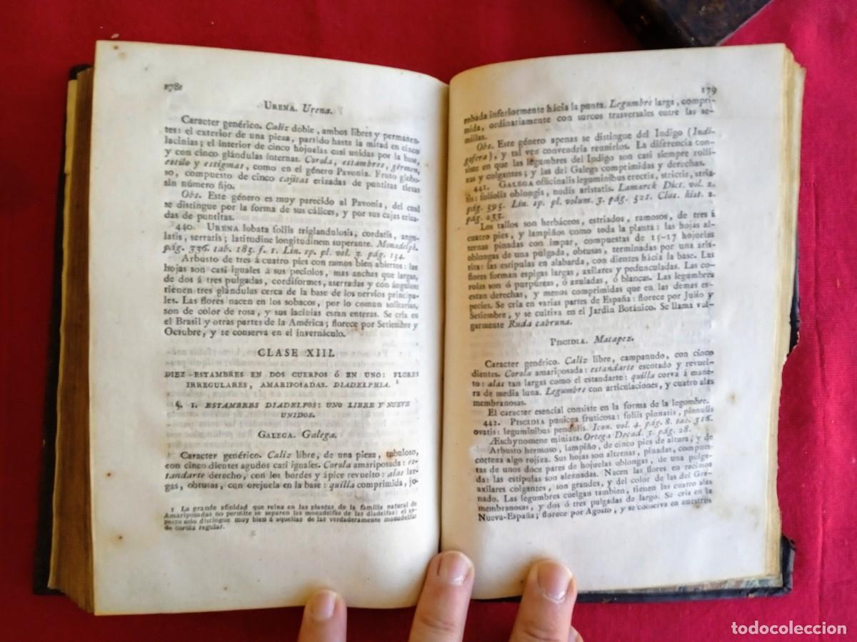 Libros antiguos: Cavanilles de bot&aacute;nica 1801 2 tomos - Foto 7