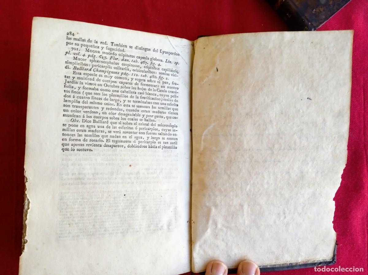 Libros antiguos: Cavanilles de bot&aacute;nica 1801 2 tomos - Foto 8