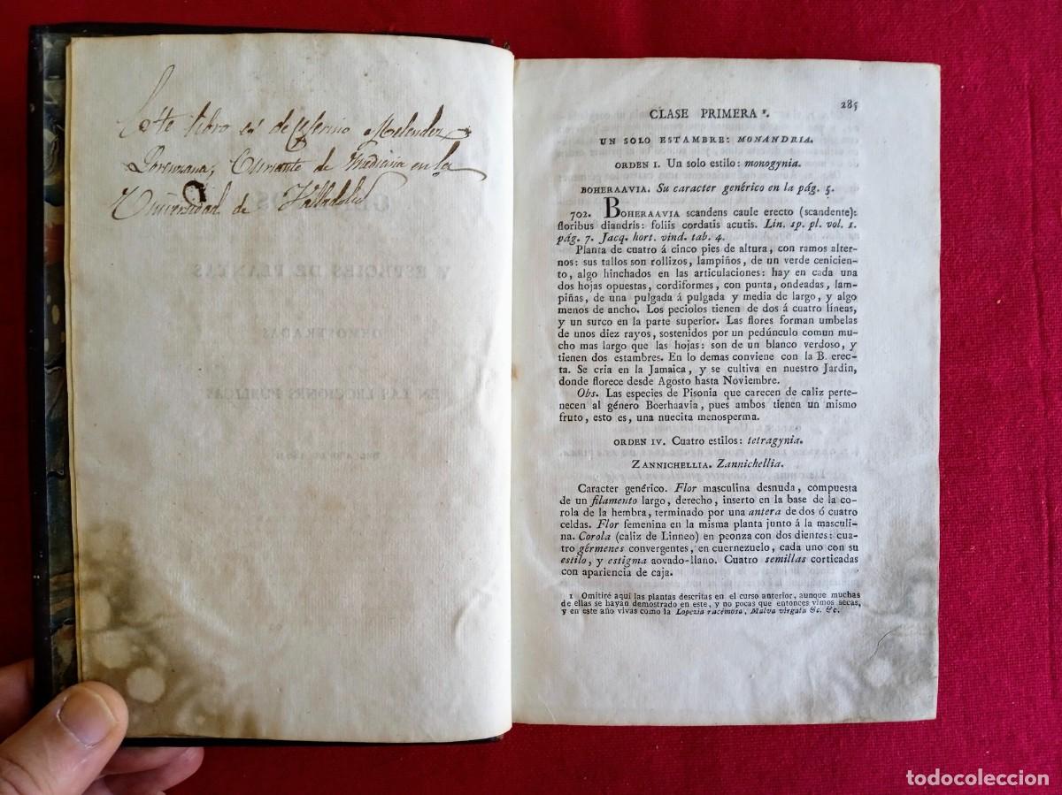Libros antiguos: Cavanilles de bot&aacute;nica 1801 2 tomos - Foto 10