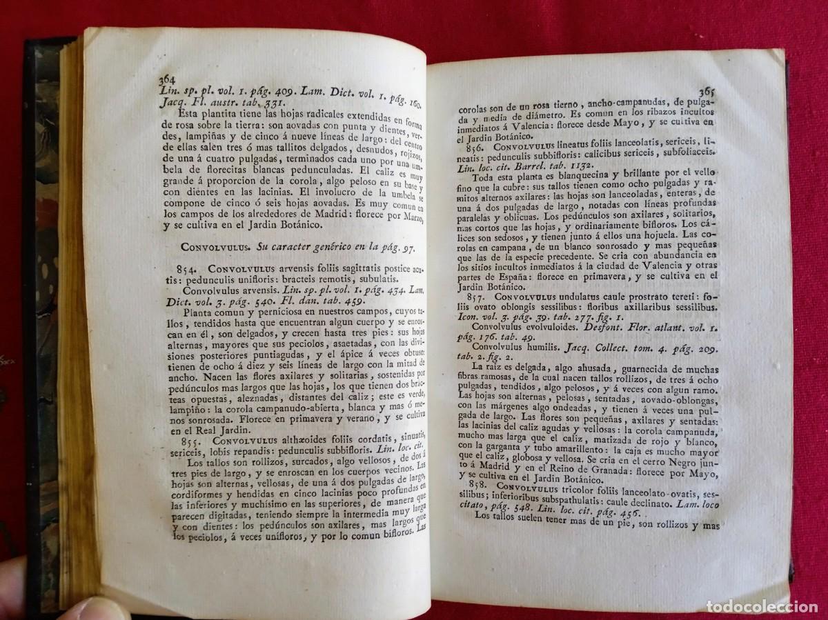 Libros antiguos: Cavanilles de bot&aacute;nica 1801 2 tomos - Foto 11