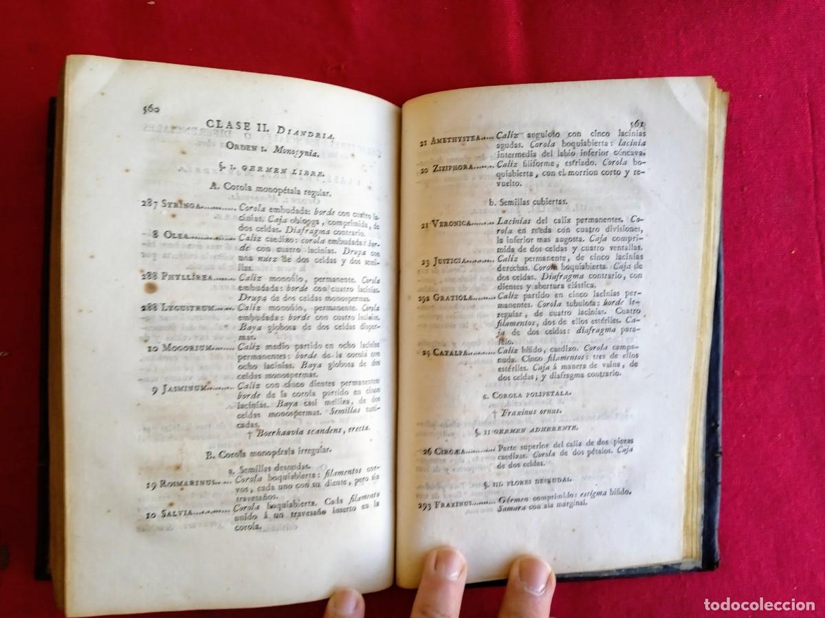 Libros antiguos: Cavanilles de bot&aacute;nica 1801 2 tomos - Foto 12