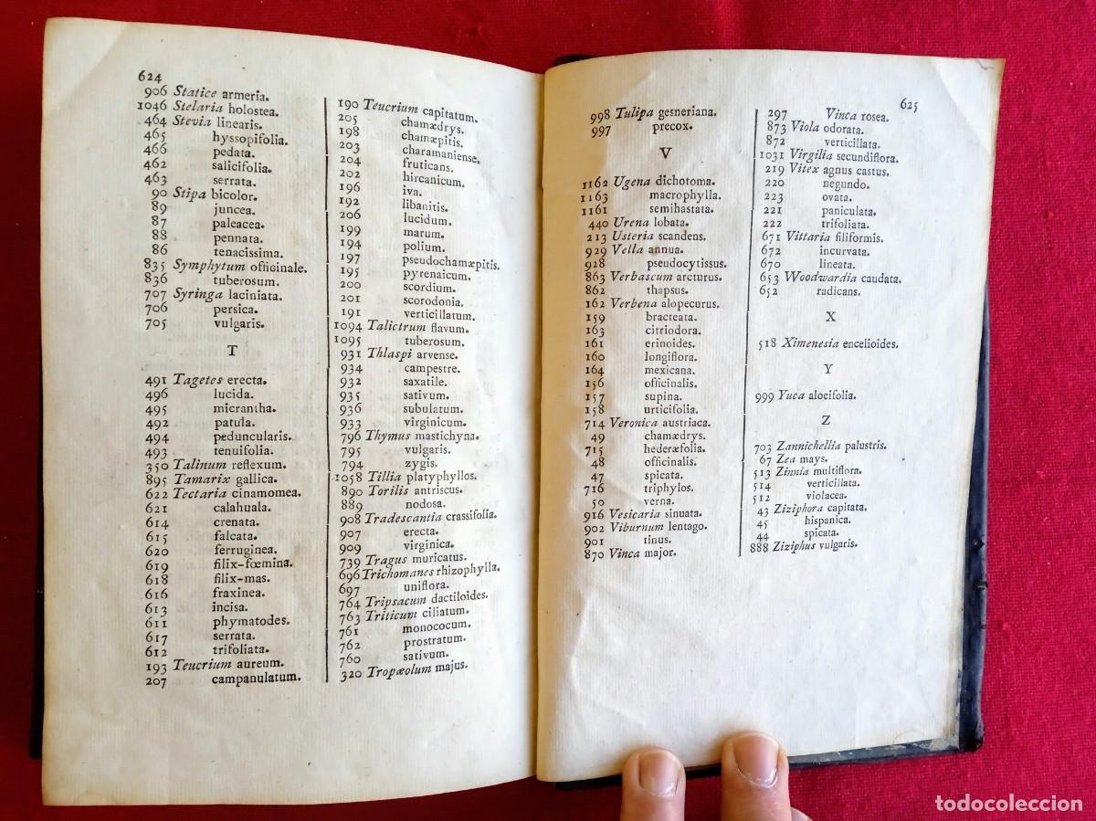 Libros antiguos: Cavanilles de bot&aacute;nica 1801 2 tomos - Foto 13