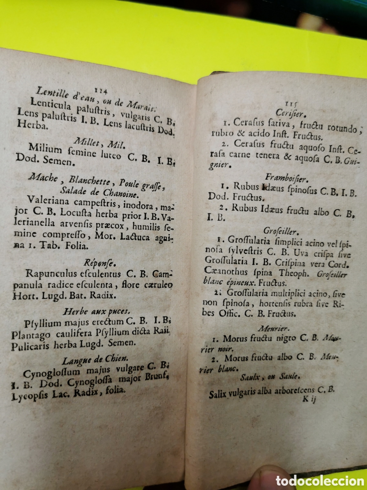 Libros antiguos: J. B. Chomel - Foto 6