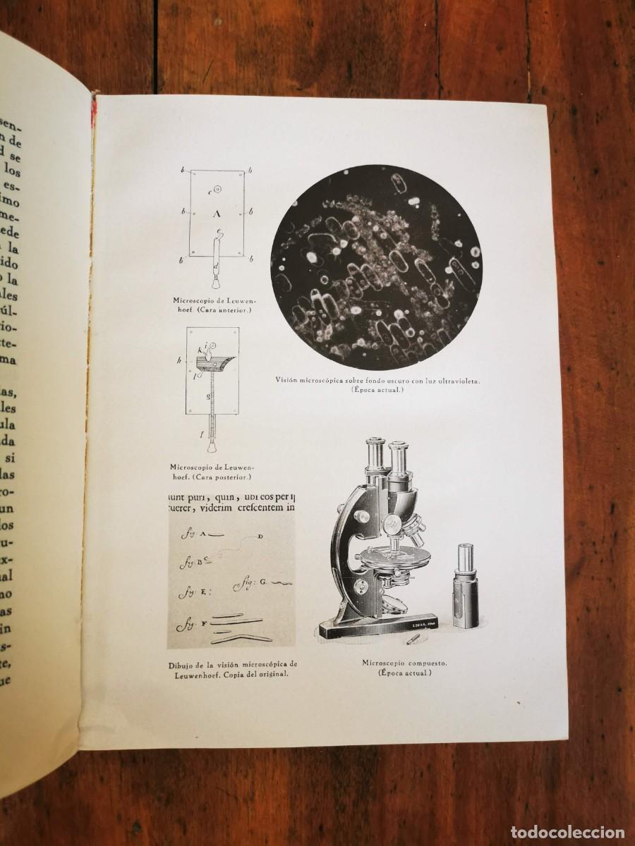 Libros antiguos: FUNDAMENTOS de bacteriolog&iacute;a general e inmunolog&iacute;a - Foto 2
