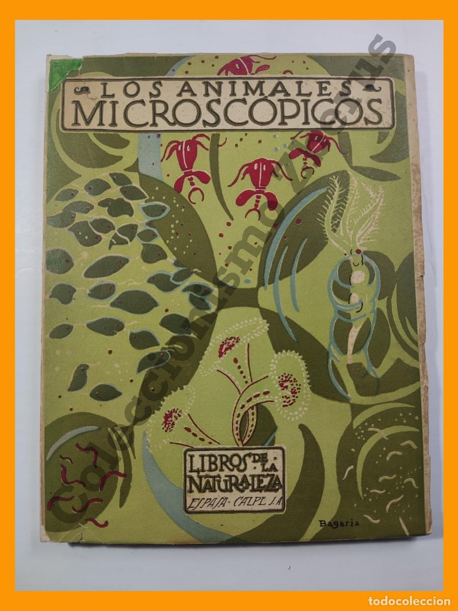 Libros antiguos: Los Animales Microscopicos - Angel Cabrera - Foto 1