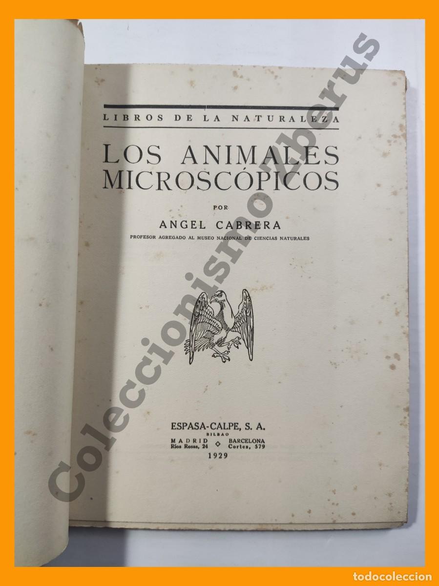 Libros antiguos: Los Animales Microscopicos - Angel Cabrera - Foto 2