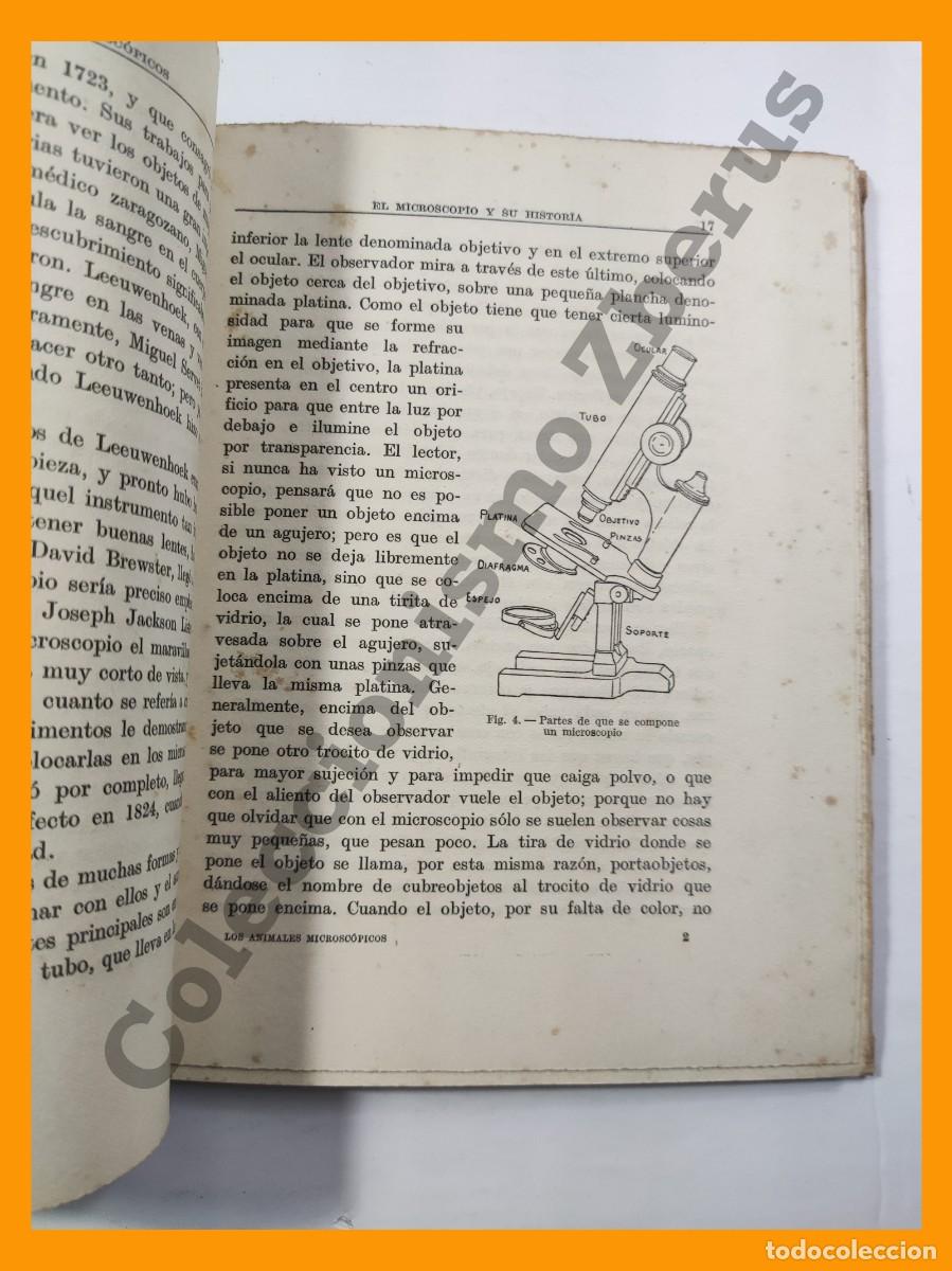 Libros antiguos: Los Animales Microscopicos - Angel Cabrera - Foto 3