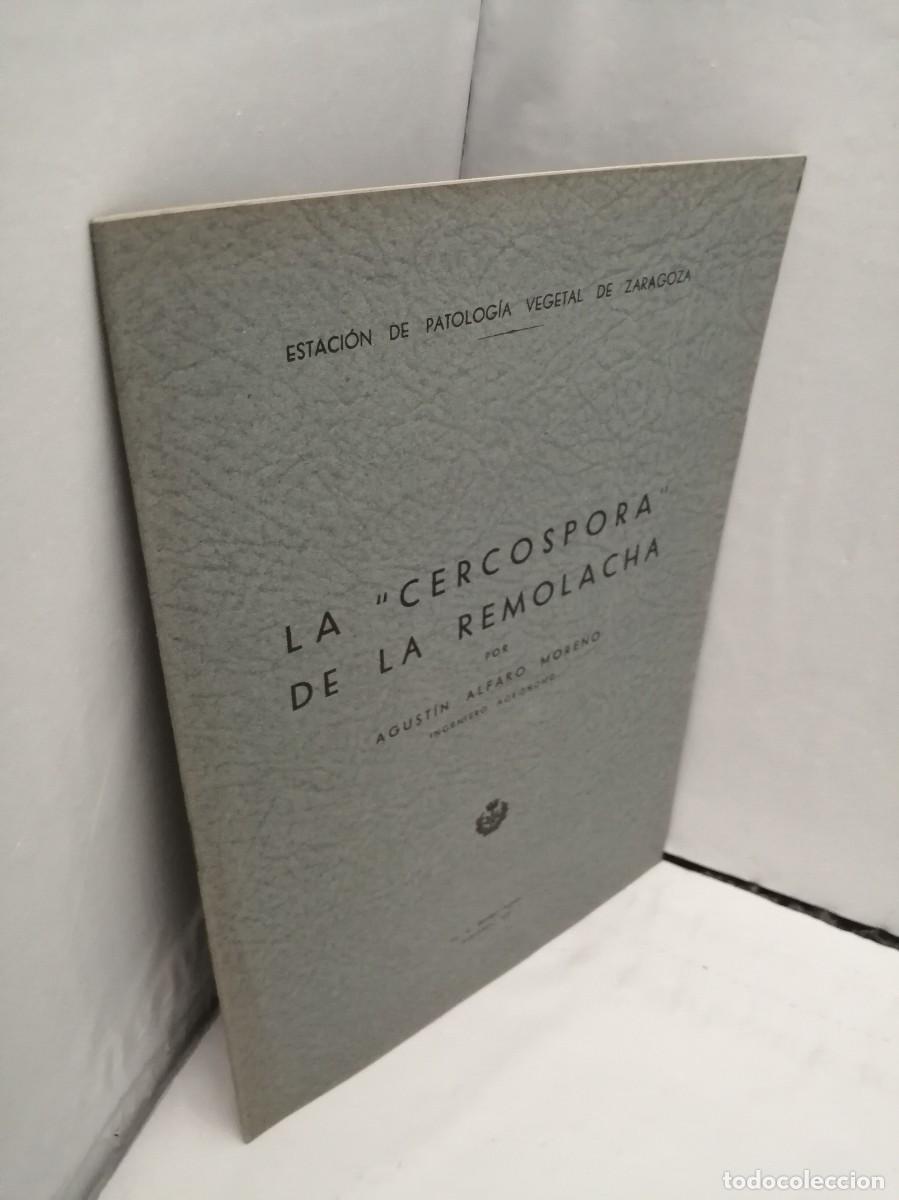 Libros antiguos: La Cercospora de la Remolacha (Edici&oacute;n 1935) - Foto 3