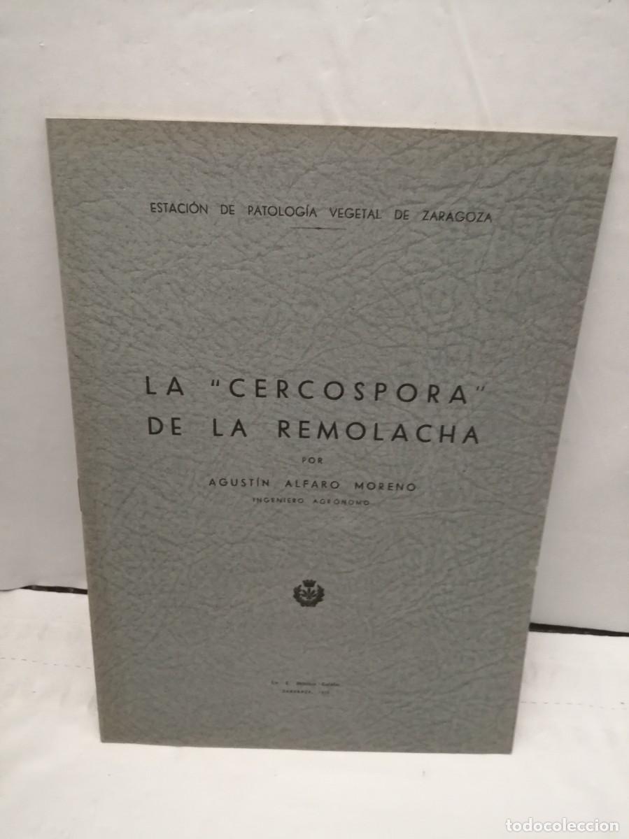 Libros antiguos: La Cercospora de la Remolacha (Edici&oacute;n 1935) - Foto 1