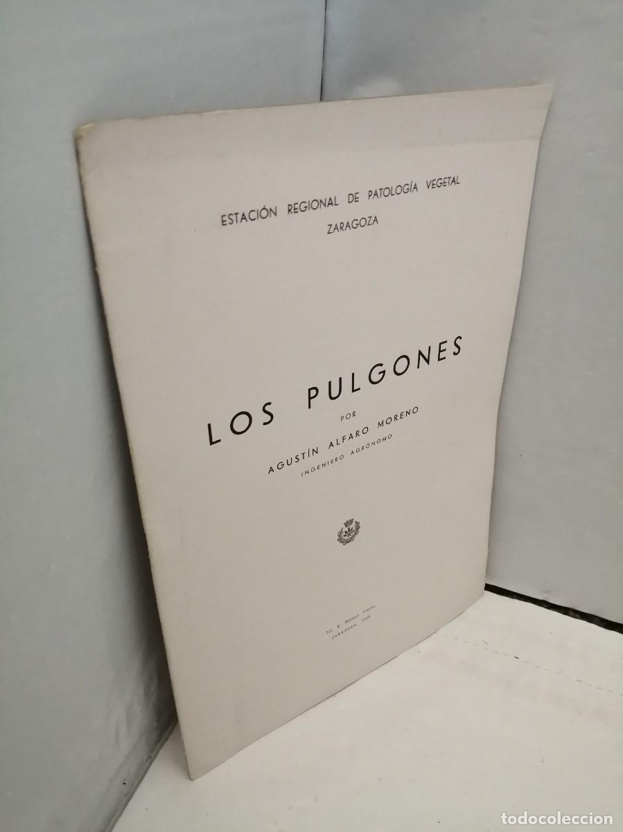 Libros antiguos: Los Pulgones (Edici&oacute;n 1935) - Foto 3
