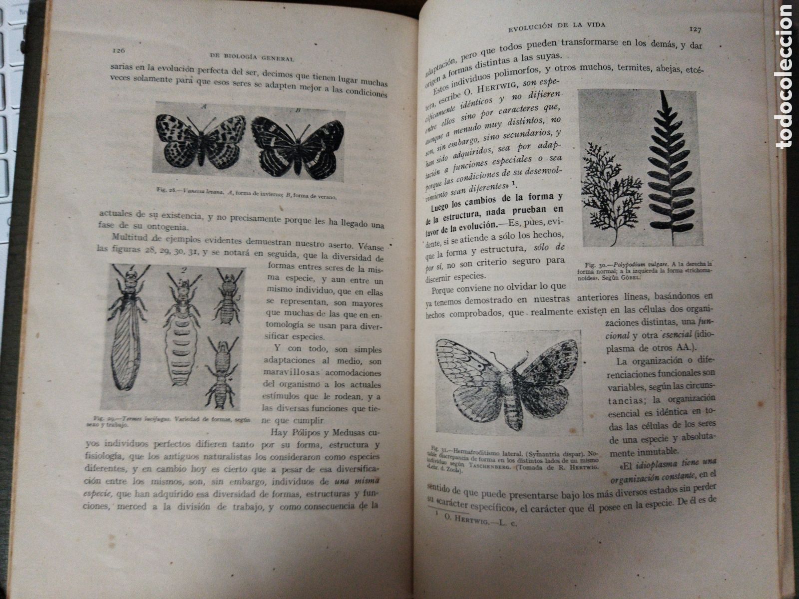 Libros antiguos: Origen y evoluci&oacute;n de la vida/ Laburu Jos&eacute; A. de, S. J - Foto 3