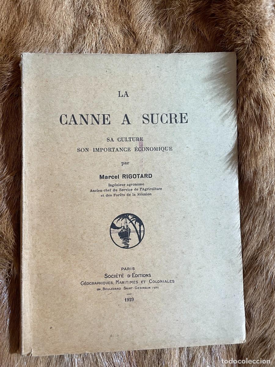 Libros antiguos: MARCEL RIGOTARD. LA CANNE A SUCRE. PARIS, 1929 - Foto 1