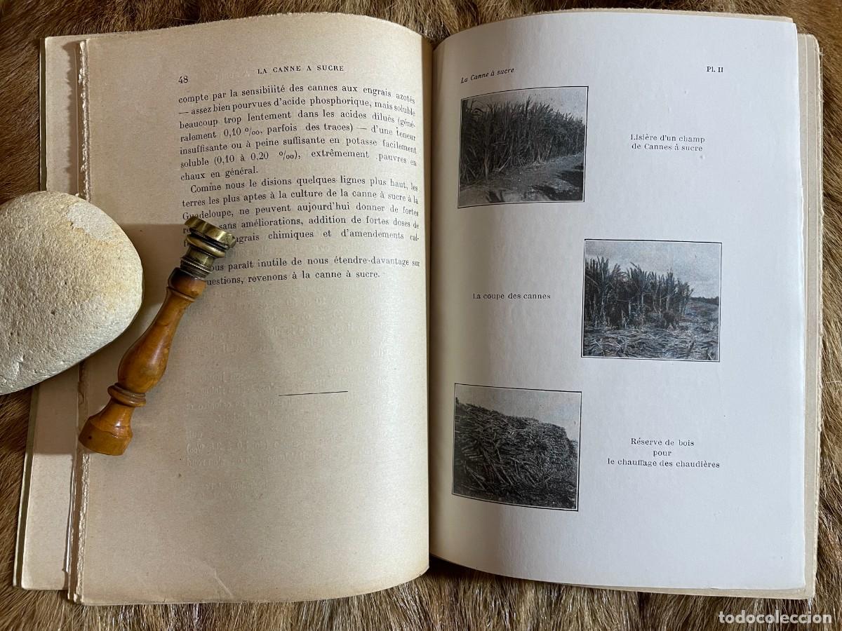 Libros antiguos: MARCEL RIGOTARD. LA CANNE A SUCRE. PARIS, 1929 - Foto 2