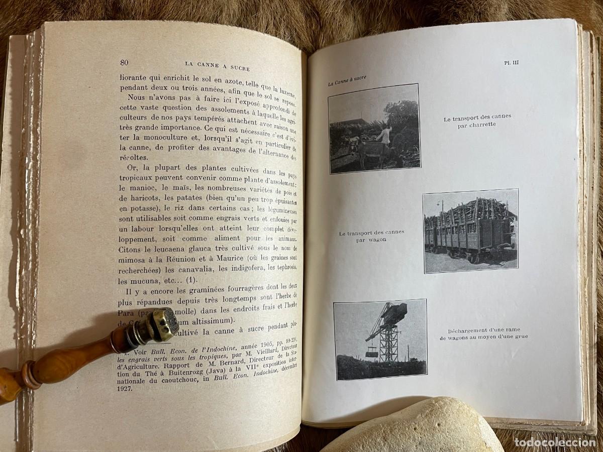 Libros antiguos: MARCEL RIGOTARD. LA CANNE A SUCRE. PARIS, 1929 - Foto 3