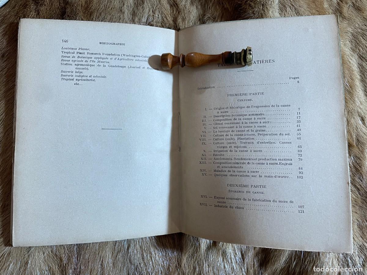 Libros antiguos: MARCEL RIGOTARD. LA CANNE A SUCRE. PARIS, 1929 - Foto 4