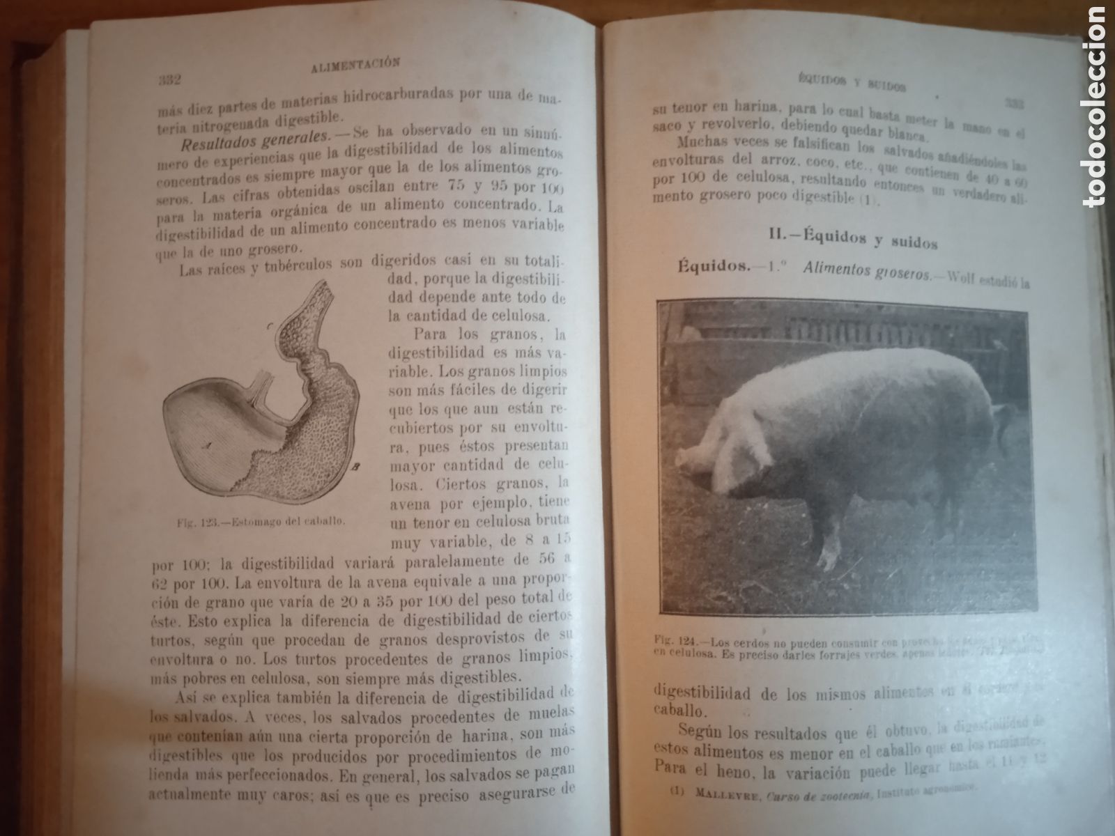 Libros antiguos: Zootecnia General. P. Diffloth. 2 tomos. - Foto 6