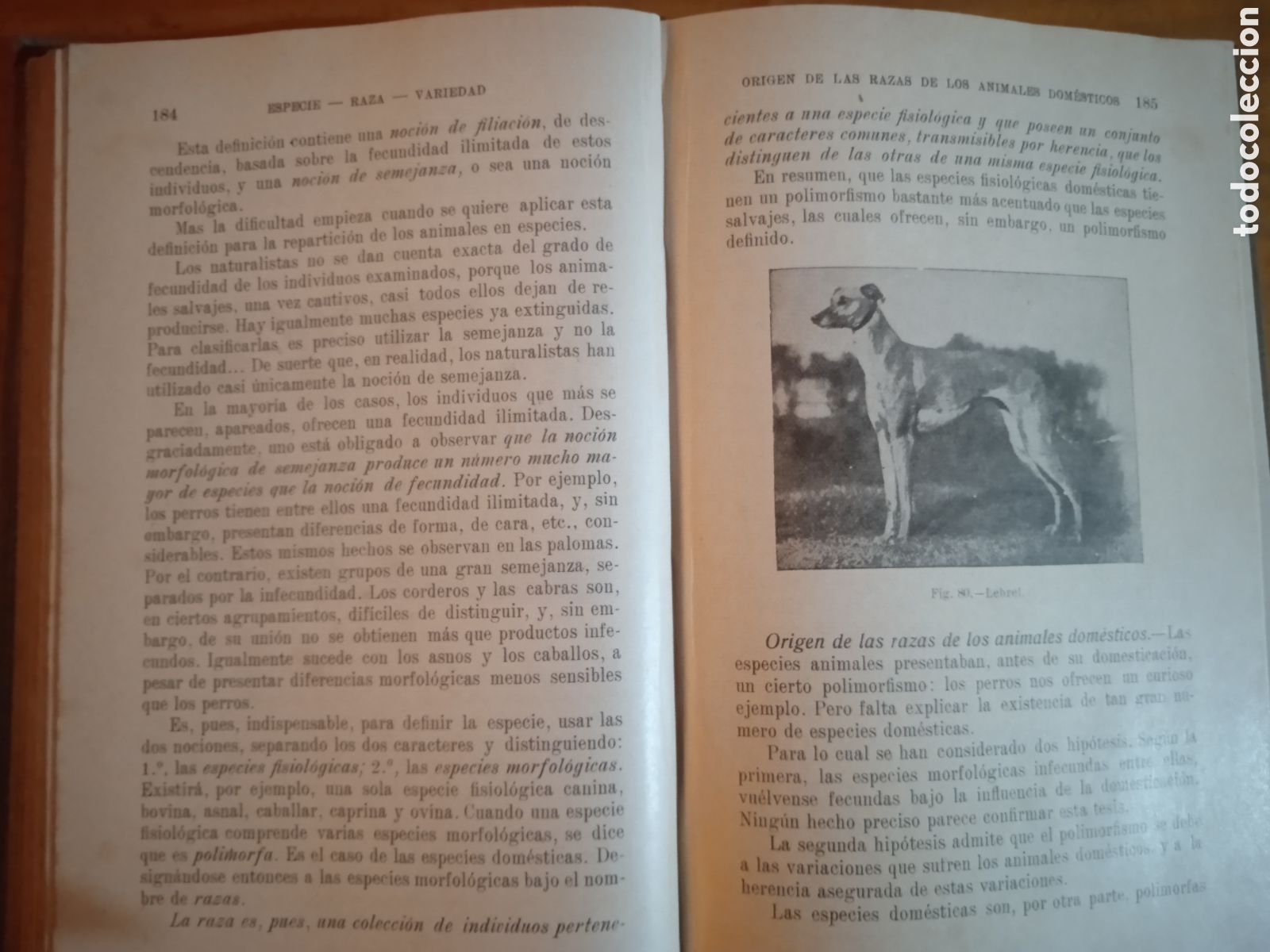 Libros antiguos: Zootecnia General. P. Diffloth. 2 tomos. - Foto 7